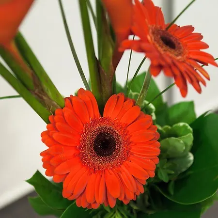 Am Tiergarten 카를스루에