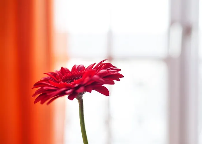 Am Tiergarten Otel 3*