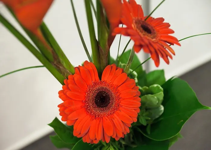 Am Tiergarten Karlsruhe